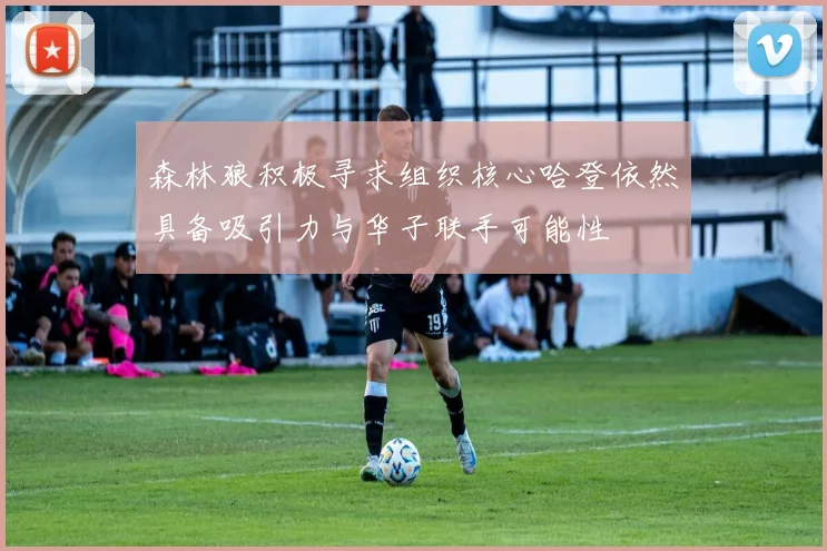 森林狼积极寻求组织核心哈登依然具备吸引力与华子联手可能性