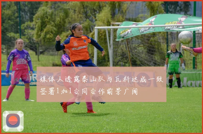 媒体人透露泰山队与瓦科达成一致签署1加1合同合作前景广阔