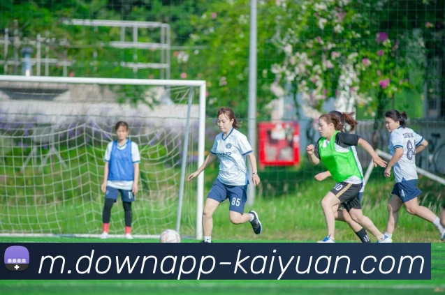 开元体育平台生态图