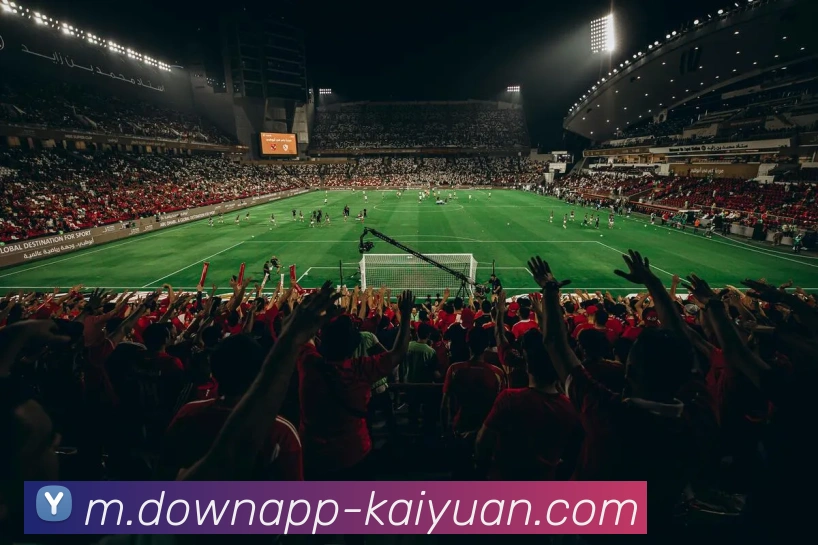 开元体育APP 封面图